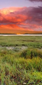 Grass,Sky,Shine,Nature,Sunset,Light