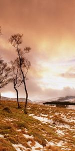 Naturaleza,Hierba,Cielo,Nubes,Nieve,Pendiente,Cuesta,Árboles