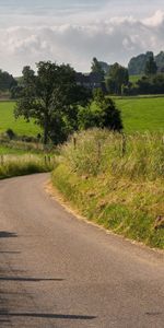 Grass,Sky,Summer,Road,Nature