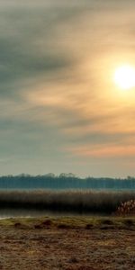 Grass,Sky,Summer,Shine,Rivers,Light,Nature