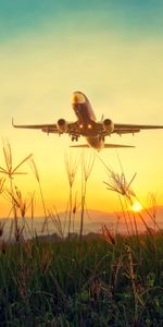 Avion,Décollage,Herbe,Sky,Aube,Coucher De Soleil,Divers