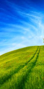 Herbe,Bois,Route,Arbre,Colline,Sky,Nature