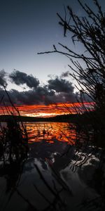 Grass,Sky,United States,Yellowstone National Park,Nature,Sunset,Usa,Lake