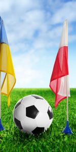 Grass,Sports,Poland,Ball,Flags,Ukraine,Football