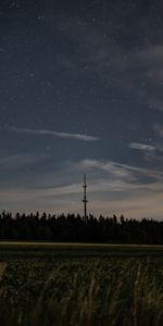 Herbe,Etoiles,Arbres,Nuit,Ciel Étoilé,Sombre