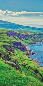 Grass,Stones,Sea,Rocks,Coast,Nature