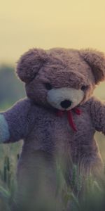 Grass,Teddy Bear,Miscellanea,Miscellaneous,Toy