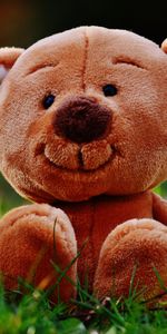 Grass,Teddy Bear,Miscellanea,Toy,Miscellaneous