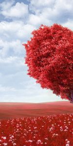 Domaine,Herbe,Arbre,Champ,Bois,Un Cœur,Photoshop,Romance,Cœur,Amour