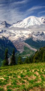 Grass,Washington,Mt Rainier,Hdr,Mountains,Nature,Landscape