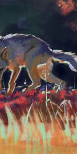 Grass,Wildlife,Predator,Wolf,Art