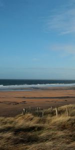 Herbe,Vent,Nature,Mer,Plage