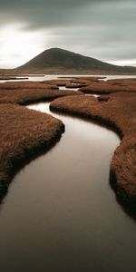 Grass,Withered,Hill,Dried Up,Nature,Rivers