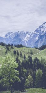 Grass,Woods,Scaffolding,Pasture,Mountains,Meadow,Nature