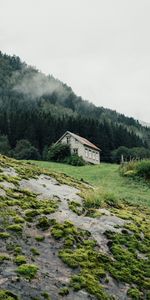 Bosque,Casa,Naturaleza,Verduras,Árboles