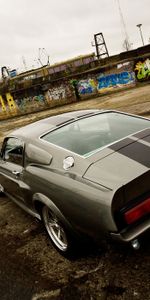 Gt 500,Shelby,Eleanor,Cars,Ford