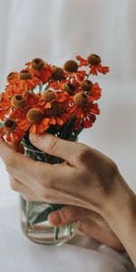 Hand,Bouquet,Flowers,Cloth,Fingers