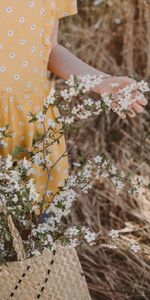 Hand,Flowers,Branches,Basket,Dress