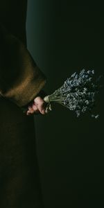 Hand,Flowers,Dark,Bouquet,Lavender