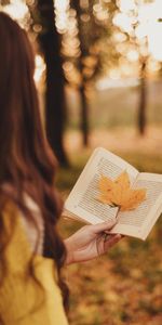 Hand,Miscellanea,Blur,Smooth,Miscellaneous,Book,Autumn,Leaflet