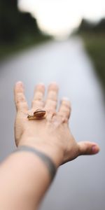 Hand,Miscellanea,Miscellaneous,Blur,Smooth,Snail,Fingers