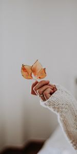 Hand,Miscellanea,Miscellaneous,Ring,Sweater,Fingers,Leaves