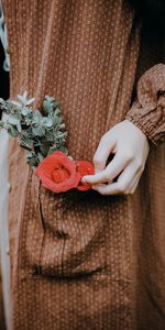 Hand,Miscellaneous,Touching,Touch,Miscellanea,Flower,Rose Flower,Rose