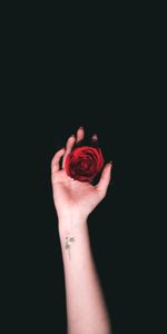 Mano,Roses,Tatuaje,Minimalismo