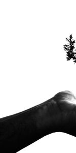 Hand,Wood,Tree,Land,Bw,Earth,Chb,Minimalism