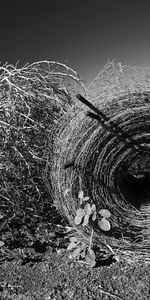 Hay,Bale,Nature,Black And White