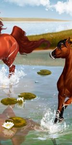 Heron,Pair,Game,Pond,Water,Spray,Couple,Horses,Fantasy