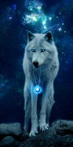 Hill,Photoshop,Animals,Predator,Wildlife,Glow,Wolf