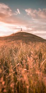 Nature,Herbe,Colline,Domaine,Champ,Sauvage,Paysage