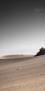 Hilly,Nature,Desert,Sand,Landscape,Silhouettes