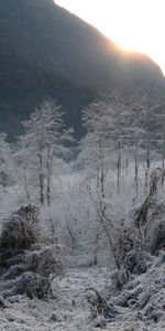 Hoarfrost,Gray Hair,Country,Yearning,Frost,Countryside,Melancholy,Cold,Winter,Nature,Gloomy,Road