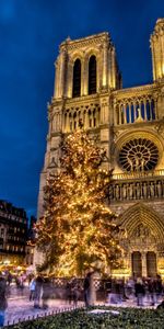 Holiday,Christmas Tree,Notre Dame Cathedral,Notre Dame De Paris,New Year,France,Area,Cities,Square,Paris