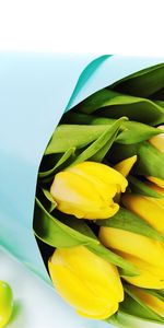 Fêtes,Fleurs,Bouquets,Contexte,Tulipes,De Pâques