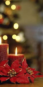 Fêtes,Nouvelle Année,Bougies,Noël