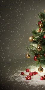 Holidays,New Year,Fir Trees,Christmas Xmas