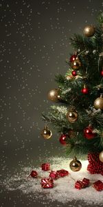 Holidays,New Year,Fir Trees,Christmas Xmas