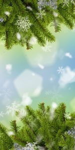 Holidays,New Year,Fir Trees,Snowflakes