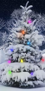 Снег,Праздники,Елки,Рождество (Christmas Xmas),Новый Год (New Year)