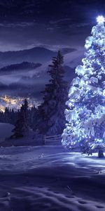 Holidays,New Year,Snow,Fir Trees,Winter,Pictures,Christmas Xmas