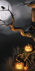 Хэллоуин (Halloween),Праздники,Тыквы