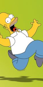 Homer Simpson,Les Simpson,Dessin Animé