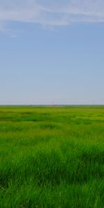 Horizon,Nature,Grass,Field,Meadow,Landscape