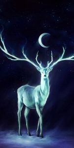 Horns,Stars,Deer,Moon,Fantasy