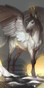 Horns,Wings,Art,Pegasus,Fantasy