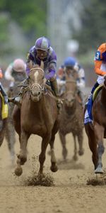 Derby Du Kentucky,Derby Du Kentucky 2015,Cotes Du Derby Du Kentucky,Derby Kentucky,Course De Chevaux,Courses De Chevaux,Chevaux,Sport