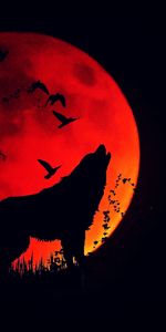 Howl,Fiery Moon,Moon Of Fire,Full Moon,Wolf,Silhouette,Dark